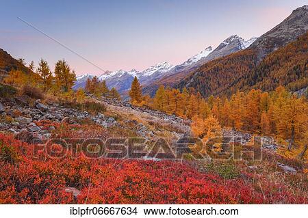 Picture - Lötschental, Valais, Switzerland, Europe. Fotosearch
