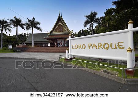 Main entrance, Loro Parque, Puerto de la Cruz, Tenerife, Canary Islands, Spain, Europe View Large Photo Image Stock Photo - Main entrance, Loro Parque, Puerto de la Cruz, Tenerife, Canary Islands, Spain, Europe. Fotosearch