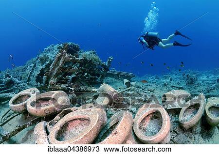 Male scuba diver looking at toilets on the Wreck of Yolanda, Shark Reef, Yolanda Reef, Ras Mohammed National Park, Sharm el-Sheikh, Red Sea, Egypt, Africa View Large Photo Image Stock Image - Male scuba diver looking at toilets on the Wreck of Yolanda, Shark Reef, Yolanda Reef, Ras Mohammed National Park, Sharm el-Sheikh, Red Sea, Egypt, Africa. Fotosearch