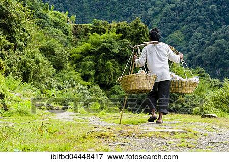 Man is carrying goods along a track, Chomrong, Kaski District, Nepal, Asia View Large Photo Image Stock Photo - Man is carrying goods along a track, Chomrong, Kaski District, Nepal, Asia. Fotosearch