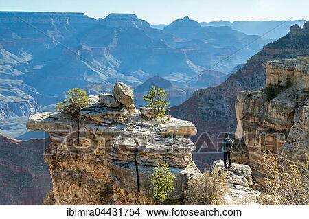 Man on cliff, South Rim, Grand Canyon National Park, Arizona, USA, North America View Large Photo Image Picture - Man on cliff, South Rim, Grand Canyon National Park, Arizona, USA, North America. Fotosearch