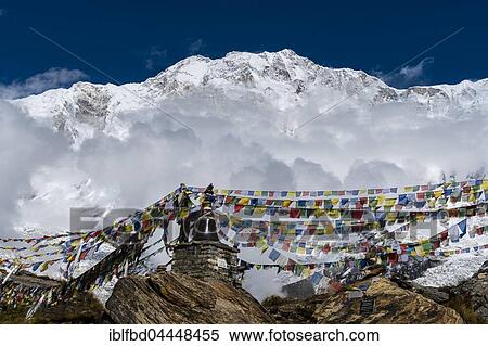 Many tibetan prayer flags are set up at a memorial for died climbers, back snow covered Annapurna 1 North Face, partly covered by monsoon clouds, Chomrong, Kaski District, Nepal, Asia View Large Photo Image Stock Photography - Many tibetan prayer flags are set up at a memorial for died climbers, back snow covered Annapurna 1 North Face, partly covered by monsoon clouds, Chomrong, Kaski District, Nepal, Asia. Fotosearch