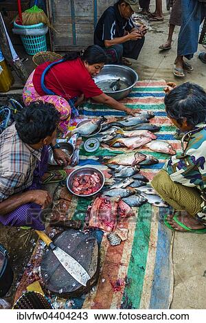 Market stand with fish on ground, full-framed, Nampan, Inle Lake, Shan State, Myanmar, Asia View Large Photo Image Stock Image - Market stand with fish on ground, full-framed, Nampan, Inle Lake, Shan State, Myanmar, Asia. Fotosearch