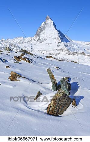 Matterhorn, 4478 m, Zermatt, Valais, Switzerland, Europe View Large Photo Image Stock Image - Matterhorn, 4478 m, Zermatt, Valais, Switzerland, Europe. Fotosearch
