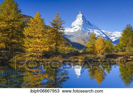 Matterhorn and Lake Grindji, Valais, Switzerland, Europe View Large Photo Image Stock Image - Matterhorn and Lake Grindji, Valais, Switzerland, Europe. Fotosearch