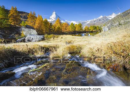 Matterhorn and Lake Grindji, Valais, Switzerland, Europe View Large Photo Image Stock Image - Matterhorn and Lake Grindji, Valais, Switzerland, Europe. Fotosearch