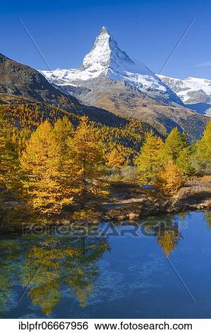 Stock Photograph - Matterhorn and Lake Grindji, Valais, Switzerland, Europe. Fotosearch