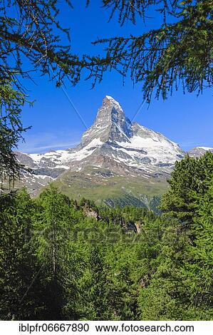 Stock Image - Matterhorn and larch forest in summer, Valais, Switzerland, Europe. Fotosearch