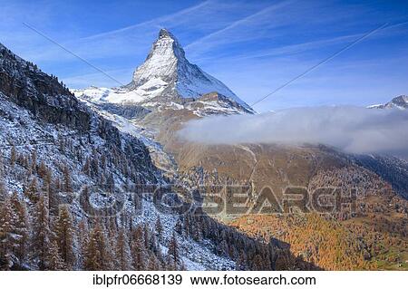 Matterhorn and larch, Valais, Switzerland, Europe View Large Photo Image Stock Photo - Matterhorn and larch, Valais, Switzerland, Europe. Fotosearch