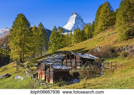 Stock Photograph - Matterhorn and larch, Valais, Switzerland, Europe. Fotosearch