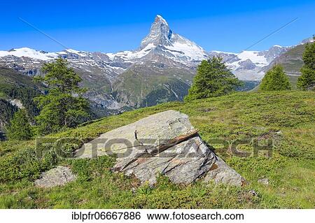 Stock Photograph - Matterhorn in summer, Valais, Switzerland, Europe. Fotosearch