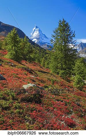 Stock Photograph - Matterhorn, Valais, Switzerland, Europe. Fotosearch