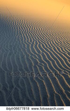 Stock Photo - Mesquite Flats Sand Dunes, Sand Dunes, Death Valley National Park, California, USA, North America. Fotosearch