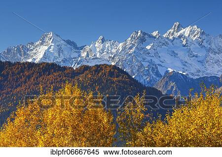 Mont Dolent, 3820m, Tour Noir, 3835m, France, Europe View Large Photo Image Stock Photography - Mont Dolent, 3820m, Tour Noir, 3835m, France, Europe. Fotosearch