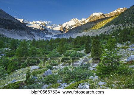 Morteratsch valley, Piz Palü, 3905 m, Piz Bernina, 4049 m, Biancograt, Morteratsch glacier, Grisons, Switzerland, Europe View Large Photo Image Picture - Morteratsch valley, Piz Palü, 3905 m, Piz Bernina, 4049 m, Biancograt, Morteratsch glacier, Grisons, Switzerland, Europe. Fotosearch