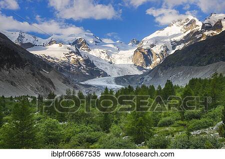 Morteratsch valley, Piz Palü, 3905 m, Piz Bernina, 4049 m, Biancograt, Morteratsch glacier, Grisons, Switzerland, Europe View Large Photo Image Stock Photography - Morteratsch valley, Piz Palü, 3905 m, Piz Bernina, 4049 m, Biancograt, Morteratsch glacier, Grisons, Switzerland, Europe. Fotosearch