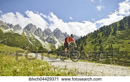 Mountain Biker rides a forest road, in the background mountain chain Kalkkögel, Stubai Alps, Tyrol, Austria, Europe View Large Photo Image Stock Image - Mountain Biker rides a forest road, in the background mountain chain Kalkkögel, Stubai Alps, Tyrol, Austria, Europe. Fotosearch