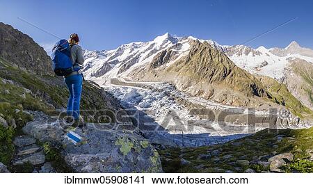 Mountaineer standing in front of glacier, high alpine mountain landscape, Lower Ice Sea, Finsteraarhorn, Agasszishorn, Großes Fiescherhorn, Bernese Oberland, Switzerland, Europe View Large Photo Image Stock Image - Mountaineer standing in front of glacier, high alpine mountain landscape, Lower Ice Sea, Finsteraarhorn, Agasszishorn, Großes Fiescherhorn, Bernese Oberland, Switzerland, Europe. Fotosearch
