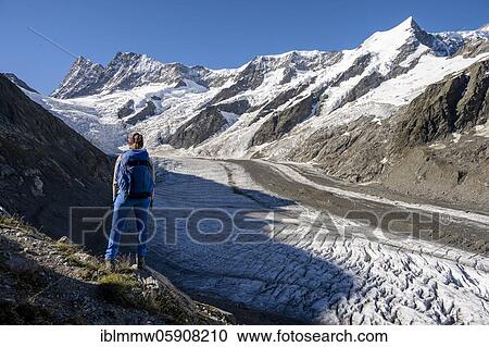 Mountaineer standing in front of glacier, high alpine mountain landscape, Lower Ice Sea, Finsteraarhorn, Agasszishorn, Großes Fiescherhorn, Bernese Oberland, Switzerland, Europe View Large Photo Image Stock Image - Mountaineer standing in front of glacier, high alpine mountain landscape, Lower Ice Sea, Finsteraarhorn, Agasszishorn, Großes Fiescherhorn, Bernese Oberland, Switzerland, Europe. Fotosearch