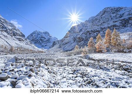 Picture - Mt. Collon, 3637 m, Arollatal, Valais Switzerland. Fotosearch
