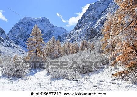 Stock Image - Mt. Collon, 3637 m, Arollatal, Valais Switzerland. Fotosearch