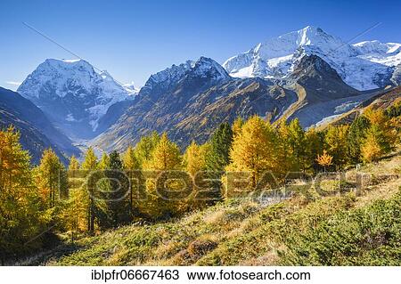 Mt Collon, Pigne d'Arolla, Arollatal, Valais Switzerland View Large Photo Image Stock Image - Mt Collon, Pigne d'Arolla, Arollatal, Valais Switzerland. Fotosearch