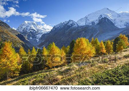 Mt Collon, Pigne d'Arolla, Arollatal, Valais Switzerland View Large Photo Image Stock Image - Mt Collon, Pigne d'Arolla, Arollatal, Valais Switzerland. Fotosearch