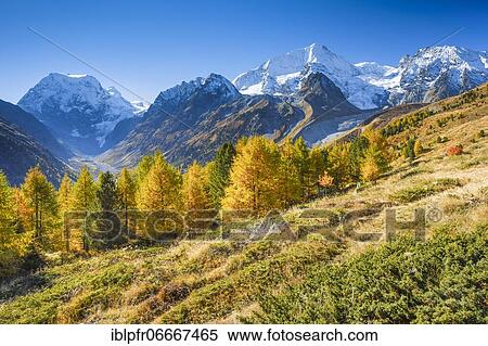 Mt Collon, Pigne d'Arolla, Arollatal, Valais Switzerland View Large Photo Image Stock Photography - Mt Collon, Pigne d'Arolla, Arollatal, Valais Switzerland. Fotosearch