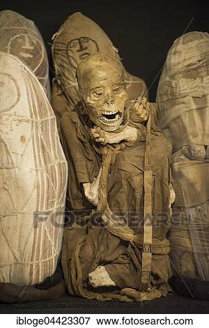 Mummies, Museum of Leymebamba, Chachapoyas Province, Amazonas Region, Peru, South America View Large Photo Image Stock Photo - Mummies, Museum of Leymebamba, Chachapoyas Province, Amazonas Region, Peru, South America. Fotosearch