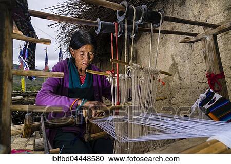 Native woman weaving material on loom, open air, Jhong, Mustang District, Nepal, Asia View Large Photo Image Stock Image - Native woman weaving material on loom, open air, Jhong, Mustang District, Nepal, Asia. Fotosearch