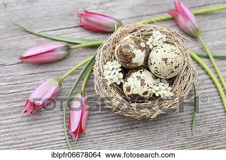 Picture - Natural Easter Decoration. Fotosearch