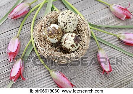 Natural Easter Decoration View Large Photo Image Stock Image - Natural Easter Decoration. Fotosearch