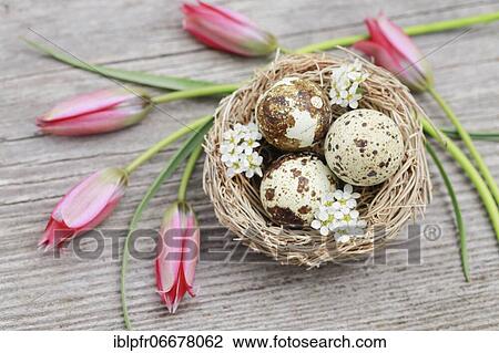 Stock Image - Natural Easter Decoration. Fotosearch