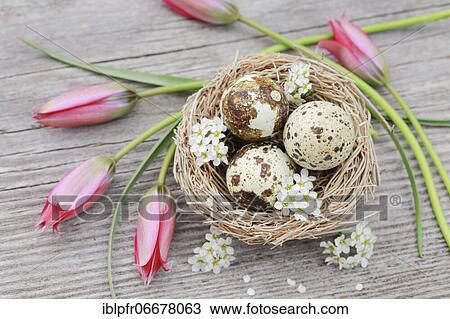 Natural Easter Decoration View Large Photo Image Stock Image - Natural Easter Decoration. Fotosearch