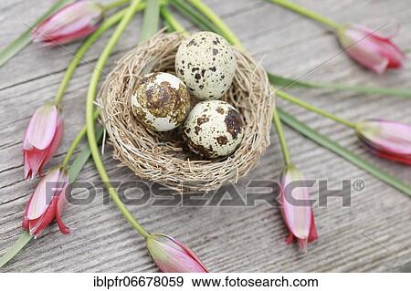 Natural Easter Decoration View Large Photo Image Stock Photo - Natural Easter Decoration. Fotosearch