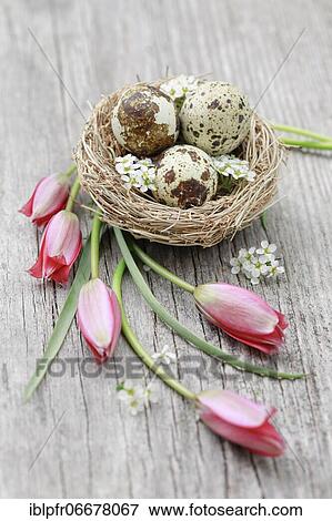 Natural Easter Decoration View Large Photo Image Stock Photo - Natural Easter Decoration. Fotosearch