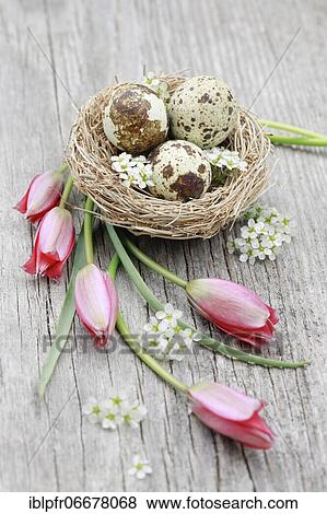 Natural Easter Decoration View Large Photo Image Stock Photo - Natural Easter Decoration. Fotosearch