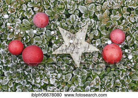 Natural outdoor Christmas decoration View Large Photo Image Stock Image - Natural outdoor Christmas decoration. Fotosearch