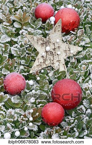 Natural outdoor Christmas decoration View Large Photo Image Stock Image - Natural outdoor Christmas decoration. Fotosearch