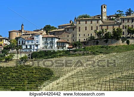 Stock Image - Neive, vineyards, Piedmont, Italy, Europe. Fotosearch