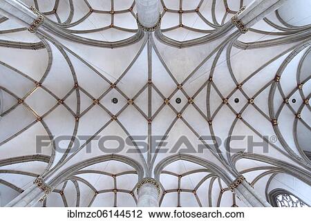 Net and star vaulting around 1525, St. Lamberti Church, Münster, North Rhine-Westphalia, Germany, Europe View Large Photo Image Stock Image - Net and star vaulting around 1525, St. Lamberti Church, Münster, North Rhine-Westphalia, Germany, Europe. Fotosearch