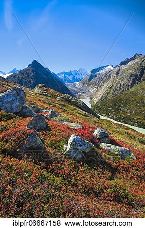 Stock Photo - Oberaar at the Grimsel Pass, Grimselsee, Bern, Switzerland, Europe. Fotosearch