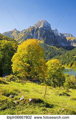 Obersee, Brünnelistock, 2133m, Glarus, Switzerland, Europe View Large Photo Image Stock Image - Obersee, Brünnelistock, 2133m, Glarus, Switzerland, Europe. Fotosearch