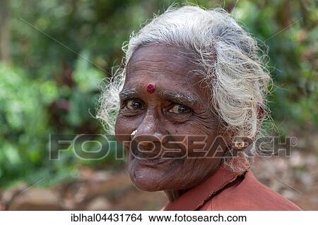 Picture - Old native woman, tea picker, near Nuwara Eliya, Central Province, Sri Lanka, Asia. Fotosearch