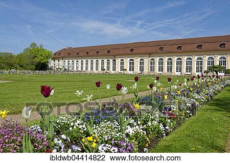 Orangery and flowers, Ansbach Residence, Ansbach, Bavaria, Germany, Europe View Large Photo Image Stock Image - Orangery and flowers, Ansbach Residence, Ansbach, Bavaria, Germany, Europe. Fotosearch