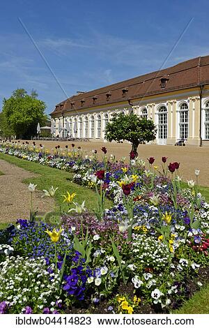 Orangery and flowers, Ansbach Residence, Ansbach, Bavaria, Germany, Europe View Large Photo Image Stock Image - Orangery and flowers, Ansbach Residence, Ansbach, Bavaria, Germany, Europe. Fotosearch
