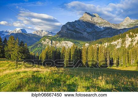 Ortstock and Tödi, Glarus, Switzerland, Europe View Large Photo Image Stock Image - Ortstock and Tödi, Glarus, Switzerland, Europe. Fotosearch