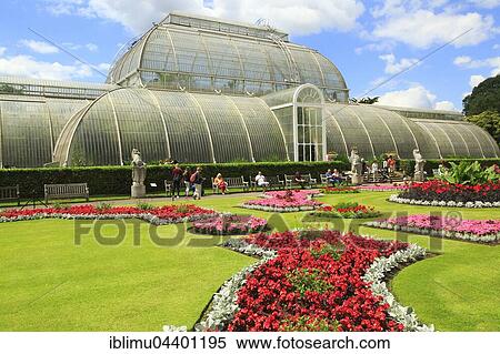 Palm House, Royal Botanic Gardens, Kew, London, England, UK View Large Photo Image Stock Photography - Palm House, Royal Botanic Gardens, Kew, London, England, UK. Fotosearch