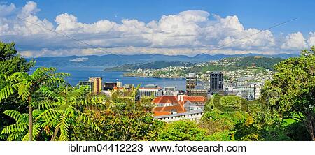 Panoramic view of Wellington, North Island, New Zealand, Oceania View Large Photo Image Stock Image - Panoramic view of Wellington, North Island, New Zealand, Oceania. Fotosearch