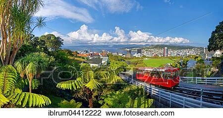 Stock Image - Panoramic view of Wellington with the historic cable car, North Island, New Zealand, Oceania. Fotosearch